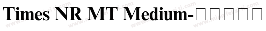Times NR MT Medium字体转换